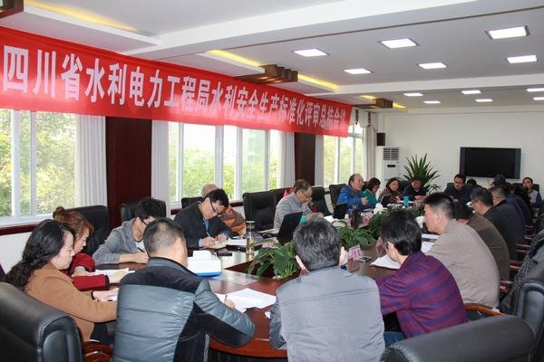 工程局水利安全標(biāo)準(zhǔn)化評審工作圓滿結(jié)束