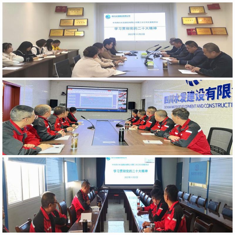 三分公司黨支部、龍塘項目部黨支部和亭子口項目部第二支部聯合組織召開傳達學習黨的二十大精神大會