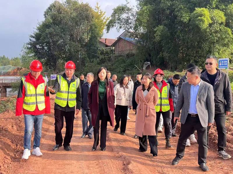 水利廳赴樂至縣小陽化河童家鎮陳家祠段防洪治理工程調研指導工作