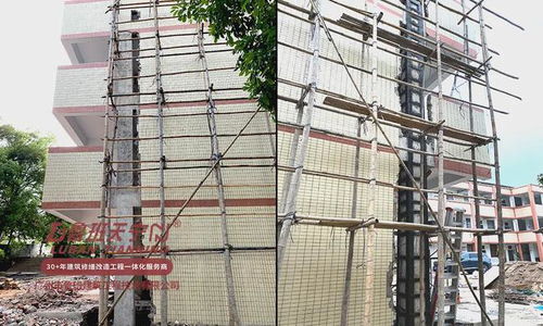 學校建筑物結構補強與抗震加固 2024工程特輯